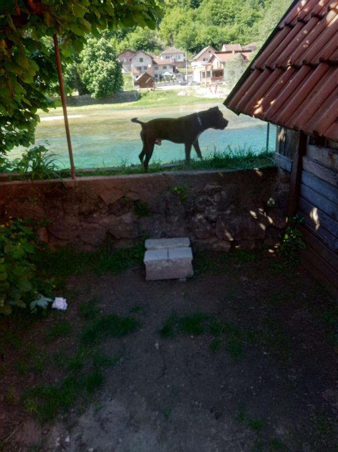 Alfa Apartment Kulen Vakuf Luaran gambar